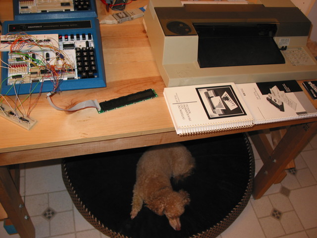 A wooden bench with a Heathkit ET-3400A Microprocessor trainer with a rat's nest of circuitry. Next to the trainer is a HP 7475A pen plotter and two spiral-bound books: HP 7475A Interfacing and Programming Manual and HP 7475A Operation and Instruction Manual.  Underneath the bench is a dog bed with a miniature poodle in it.
